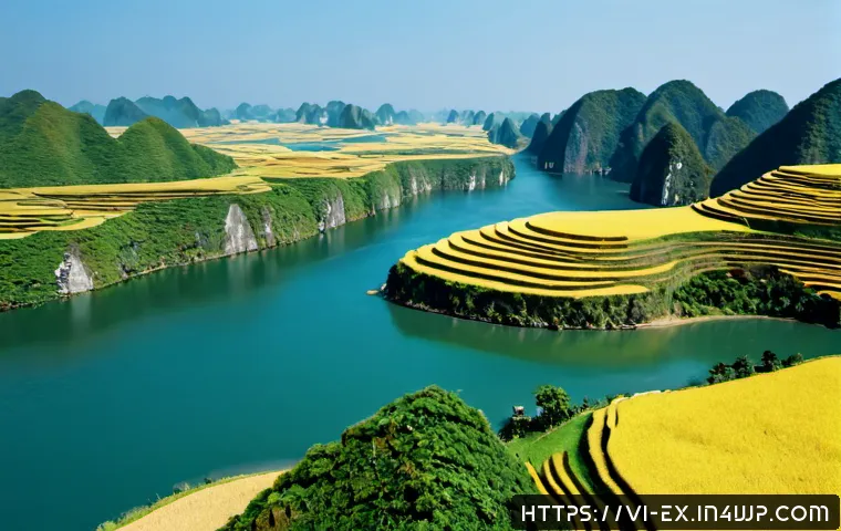 Xây năng lực chuyên sâu và tư duy liên ngành để giải quyết vấn đề tốt hơn trong công việc 4 T자형 전문성과 문제 해결 능력 관련 이미지 2